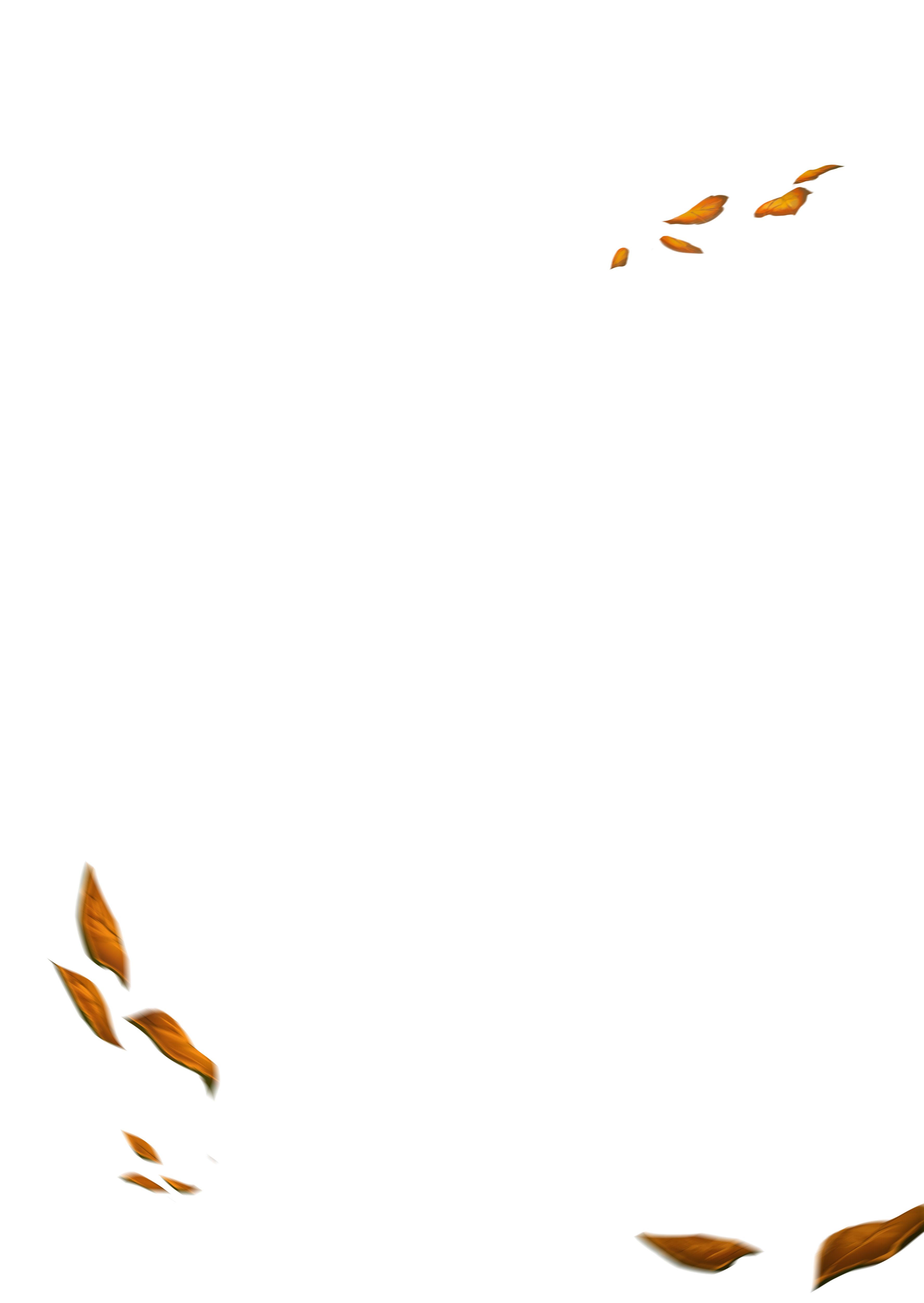 feuilles-SOLO